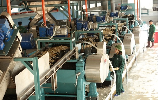 Khánh thành nhà máy chế biến cao su Sơn La 28-10